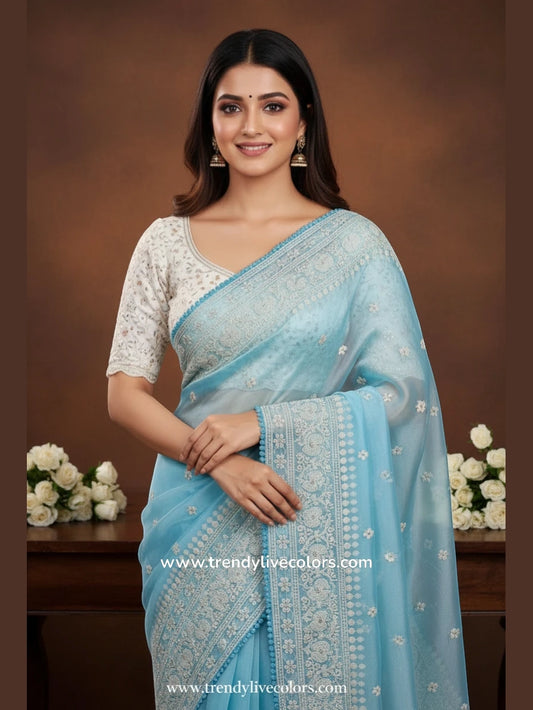 Celestial Cerulean organza silk saree with delicate floral necklace embroidery and sheer frosted finish.