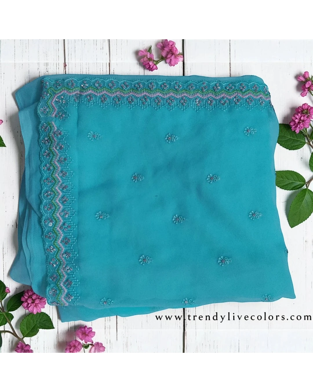 Woman in Seafoam Green Embroidered chiffon Saree and Pink Blouse.