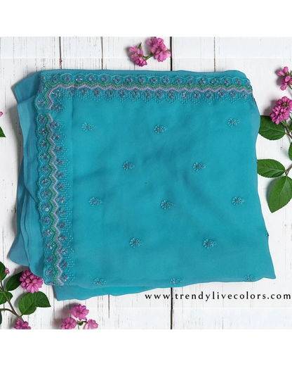 Woman in Seafoam Green Embroidered chiffon Saree and Pink Blouse.