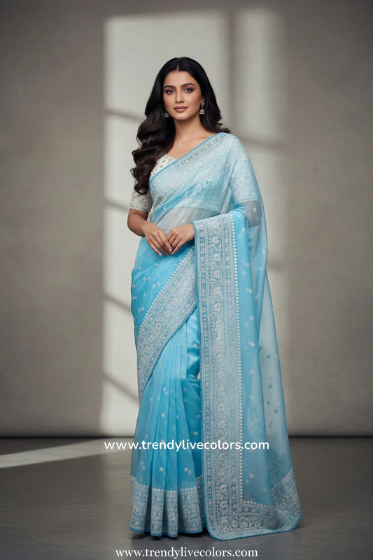 Celestial Cerulean organza silk saree with delicate floral necklace embroidery and sheer frosted finish.