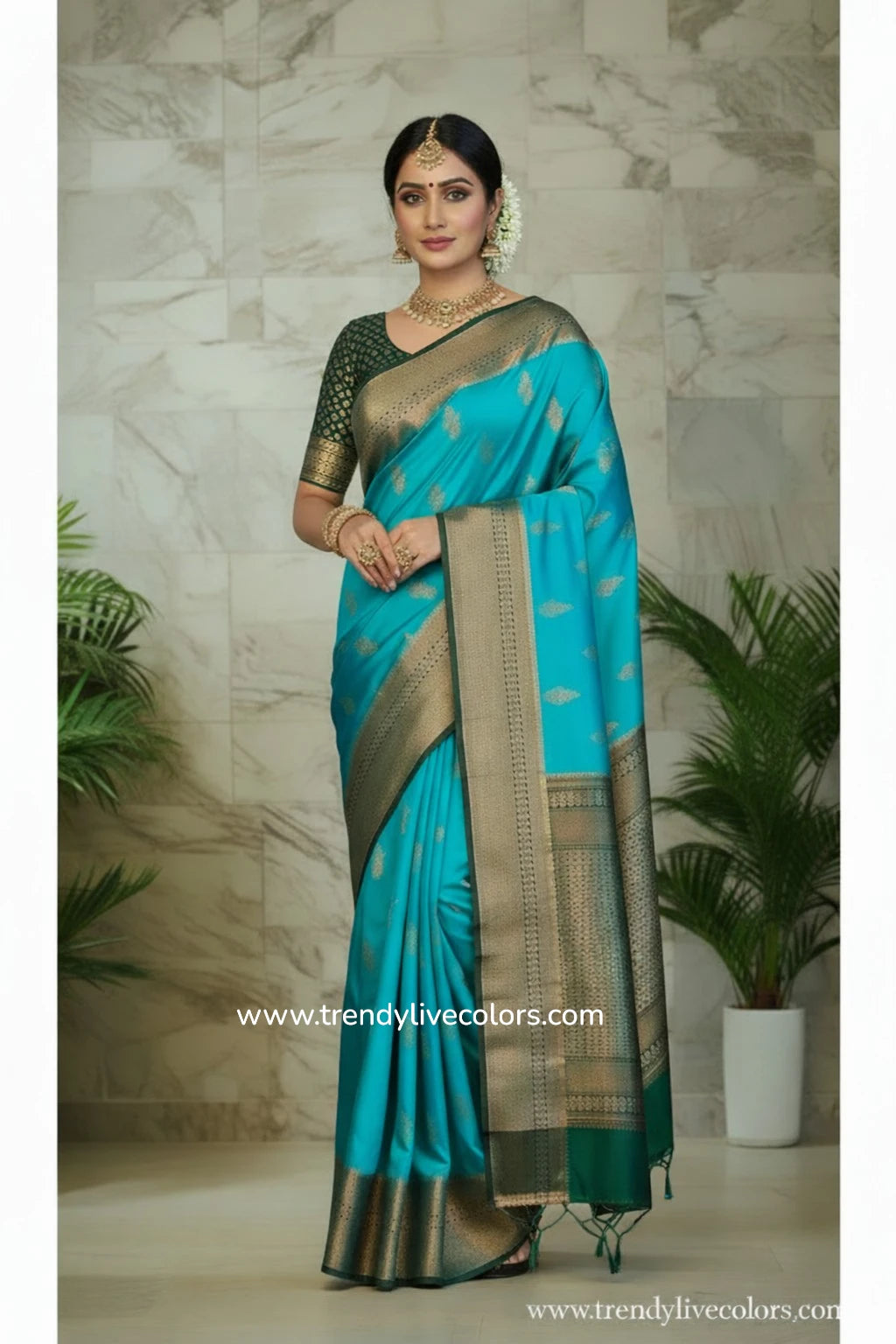 Blue Silk saree.