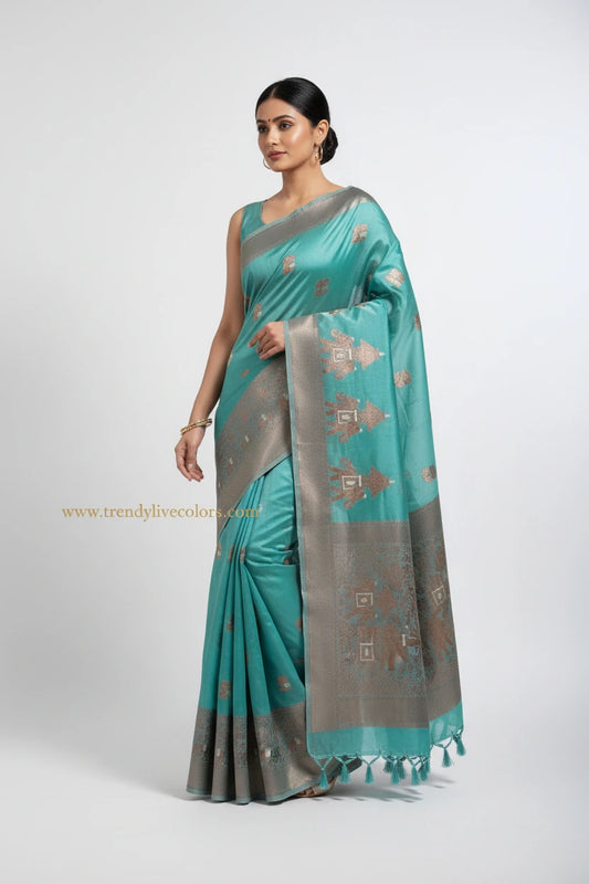 Organza saree