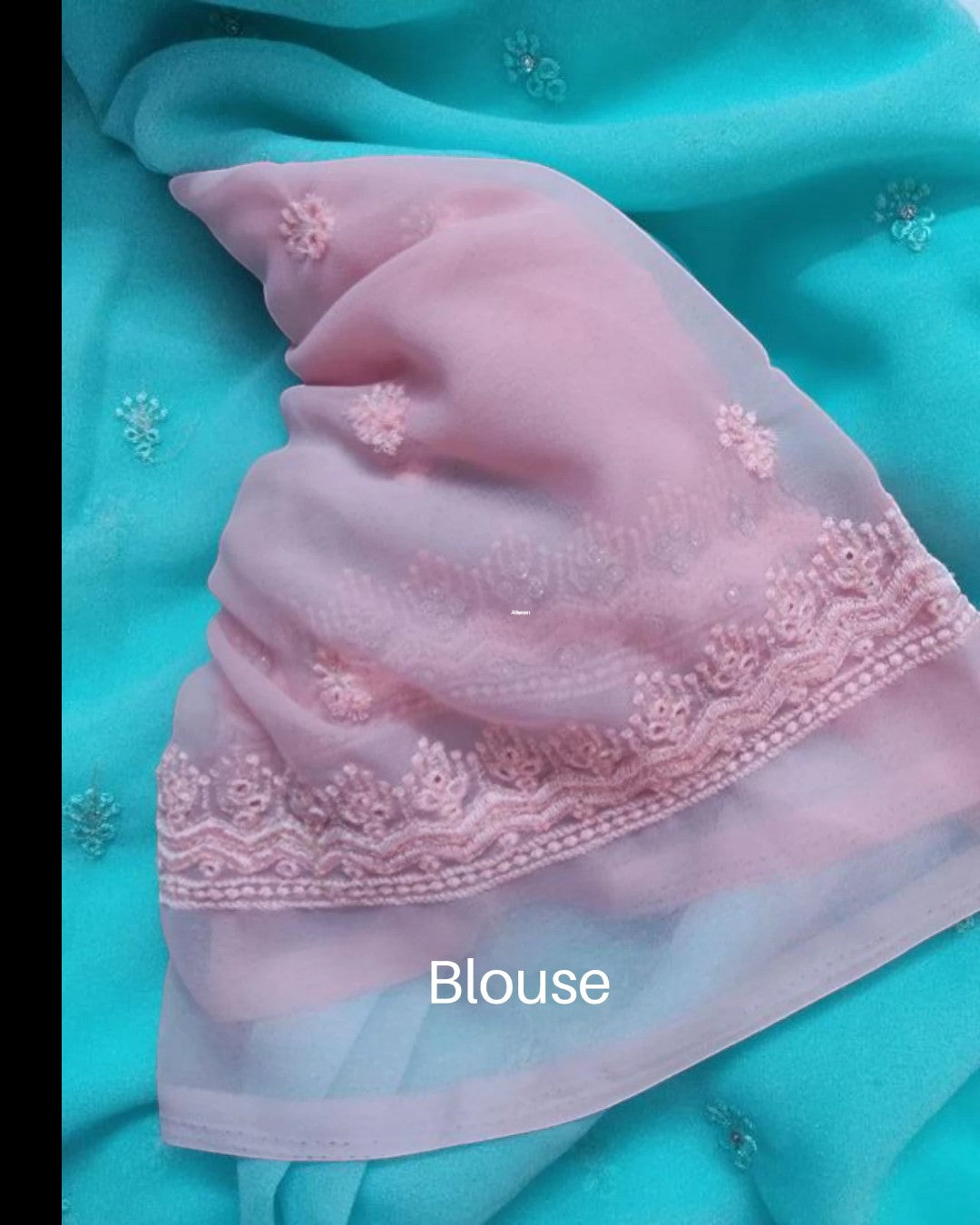 Woman in Seafoam Green Embroidered chiffon Saree and Pink Blouse.